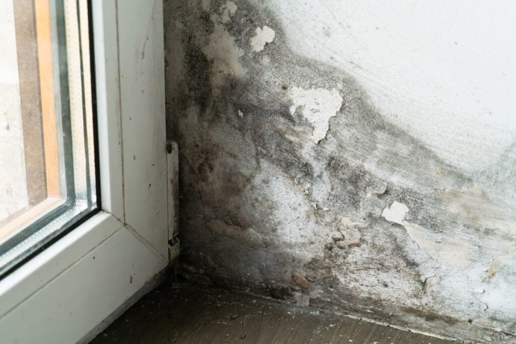 Mold Remediation Cost in California (2026 Guide) 1 Water damage left mold at Pasadena, CA home before mold removal
