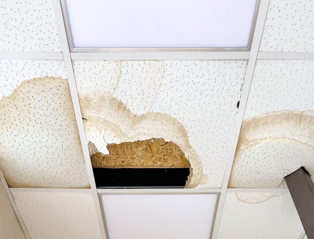 Drop ceiling with water damage, repair needed in Los Angeles, CA
