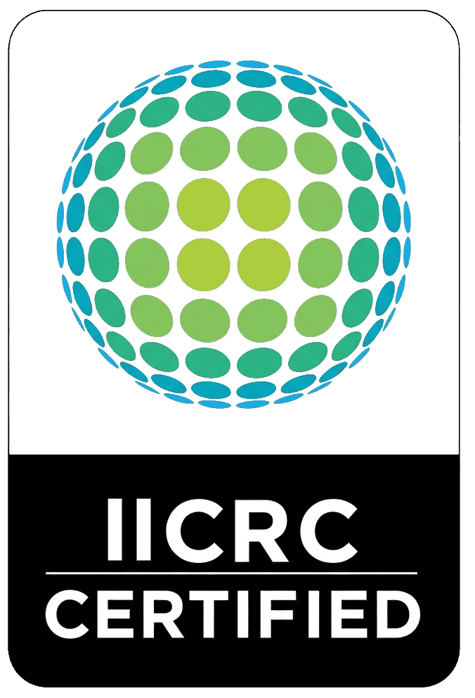 Home New 15 Untitled 11 1 e1771971837304